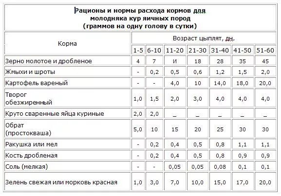 Норма кормления кур. Нормы кормления цыплят кур несушек. Нормы кормления цыплят яичных пород. Рацион кормления мясных цыплят. Норма корма для цыплят несушек.