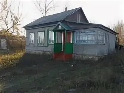 25 сот