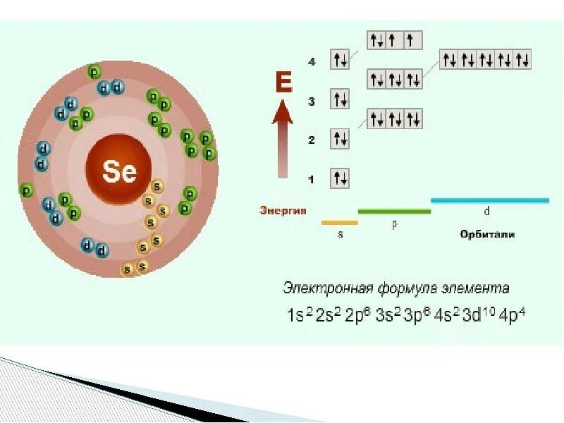 Селен строение атома и электронная формула. Общее число электронов в атоме брома