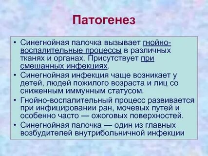 Инфекции вызываемые синегнойной палочкой