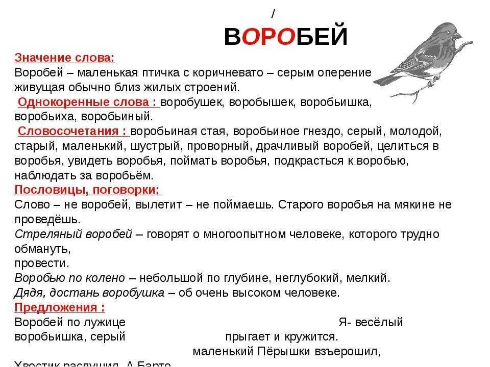 Воробей. Текст про воробья. Воробей значение слова. Что автор подметил наблюдая за стрижами