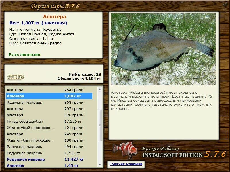 Русская рыбалка игра installsoft. Русская рыбалка Алютерра. Алютерра рыба. Русская рыбалка 3 7 4 новая Гвинея тунец собакозубый. Alutera Monoceros.