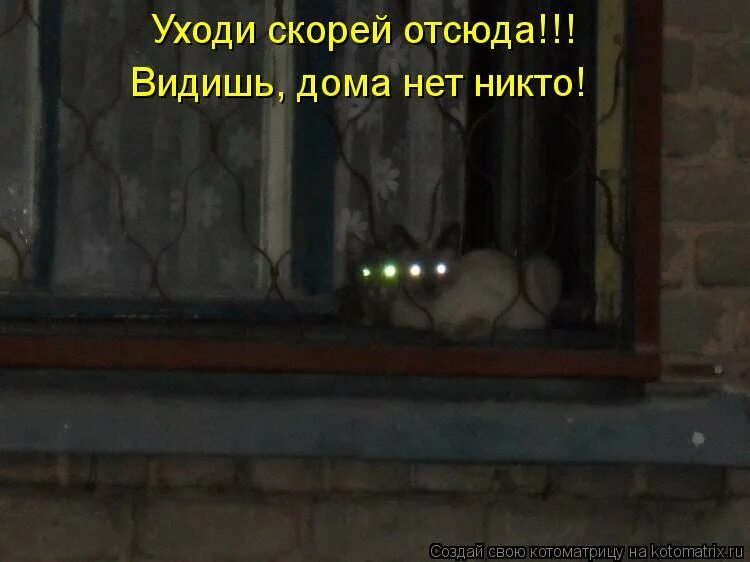 Никого нет дома уходите. Видишь дома нет никто. нет дома. никого нет уходите.