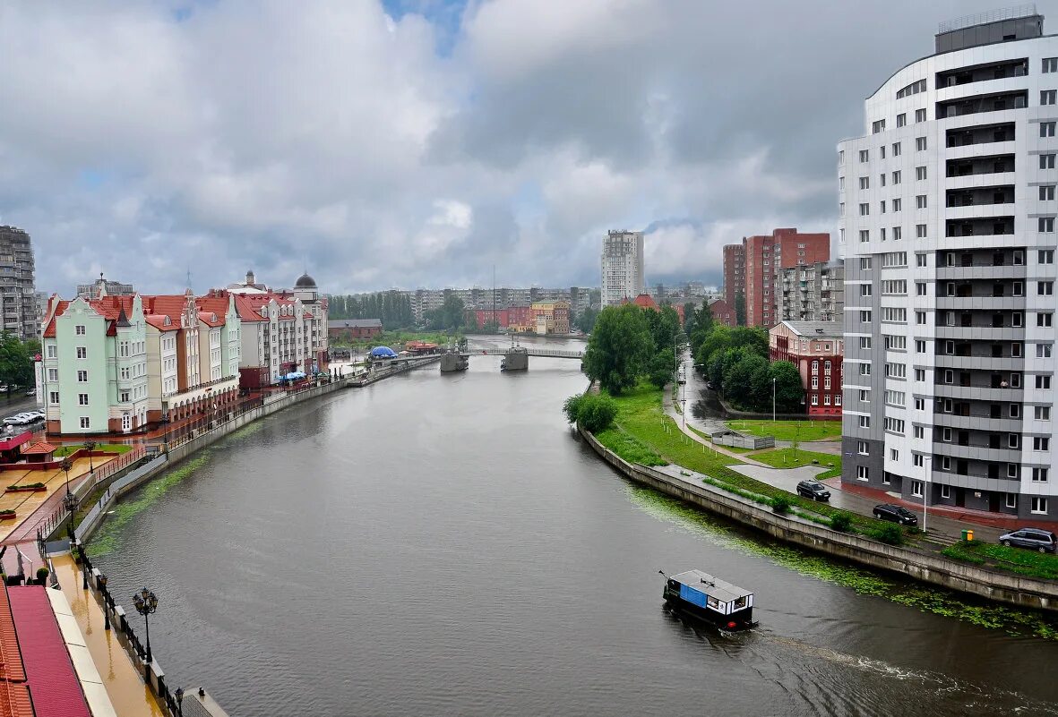 Набережная реки преголь калининград. Проектирования пляжа на реке преголя в калининграде. Река преголя калининградская область фото. Преголя река в калининграде. Река в калининграде в центре.