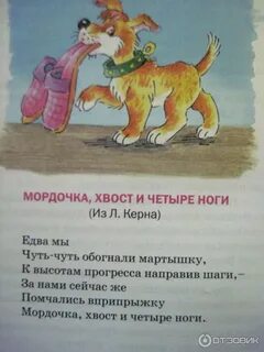Мордочка хвост
