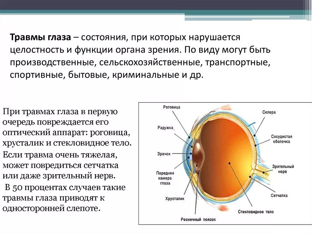 Как следует поступать при травме глазного