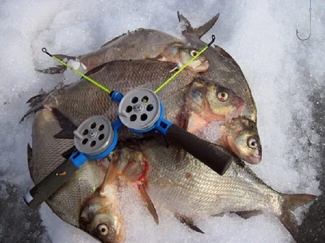 Ловля без насадки. Ловля леща зимой. Насадки для зимней рыбалки. Зимняя снасть на белую рыбу. Насадки на леща зимняя рыбалка.
