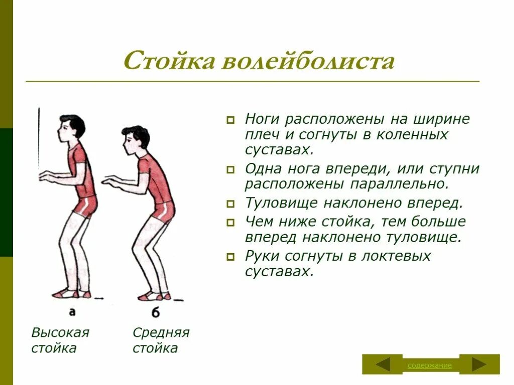 Какие виды перемещений бывают в волейболе. Основные стойки игрока в волейболе. стойки и перемещения в волейболе. высокая стойка волейболиста. техника стойки в волейболе.