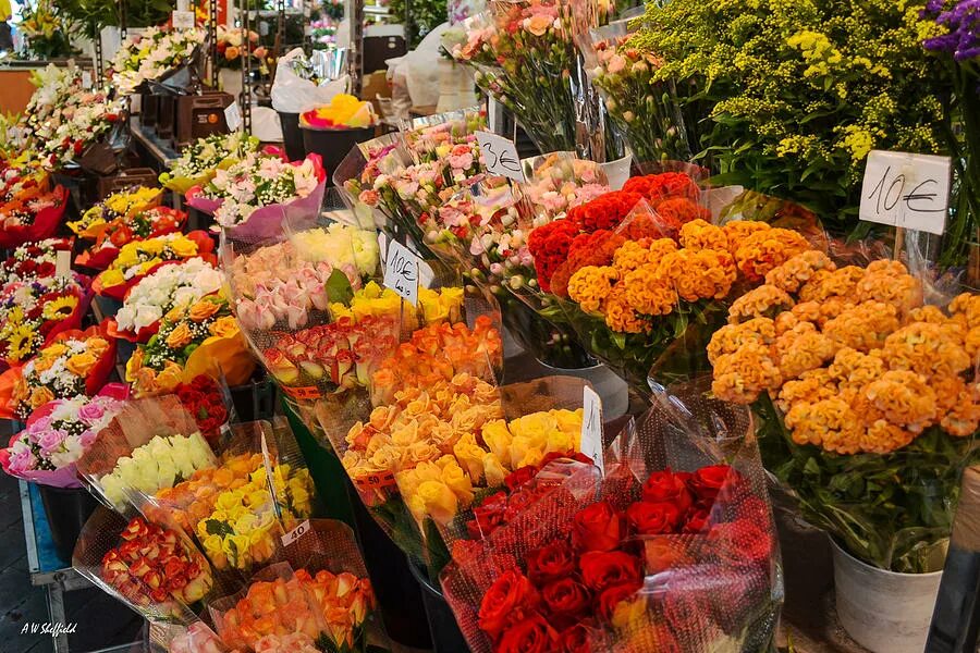 Цветочный рынок на береговой. Рынок цветов. Цветочный рынок в Европе. Рынок цветов красивые. Цветочный рынок в Санкт-Петербурге.