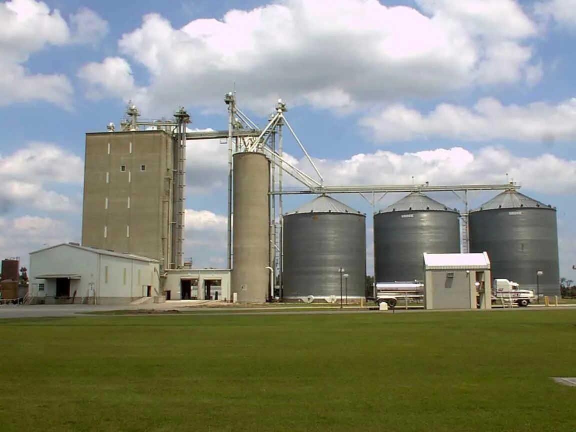 Feed plant. Завод кормов. Комбикормовый завод самый крупный в мире. Переработка зерна на комбикорм. Курский комбикормовый завод.