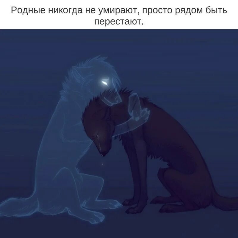 Близко как никогда