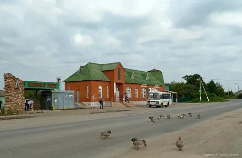 Поселок красная заря 15