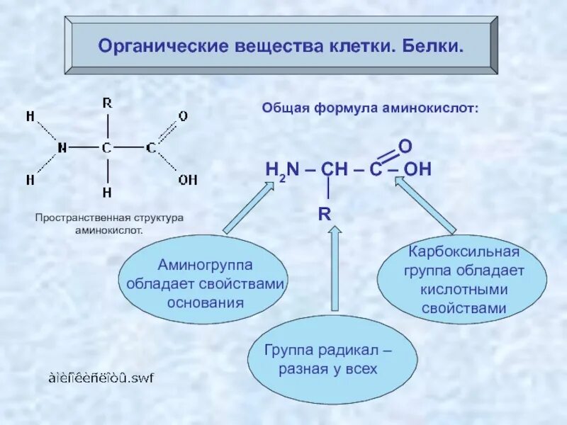 В каких веществах и структурах