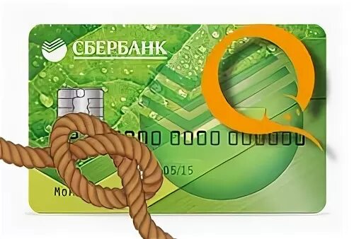 Сбер спасибо ситилинк. Накладка образец сбербанк. как привязать карту сбербанка к школьному питанию.