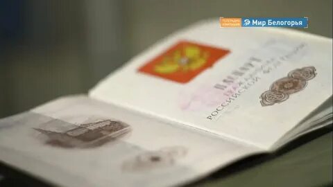 Подложный документ