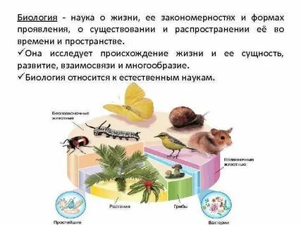 Понятия биологии 5 класс