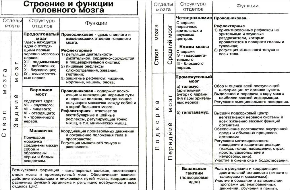 Таблица отделы головного мозга и их функции и строение. Строение и функции отделов головного мозга таблица. Таблица отделы головного мозга структуры отделов функции. Отдел мозга строение функции таблица.