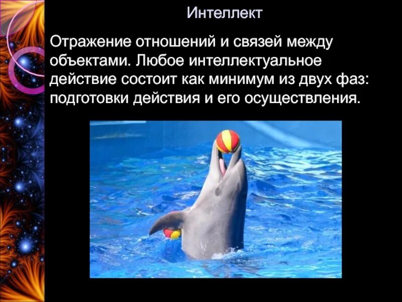Состоит как минимум из двух. Состоит как минимум из двух