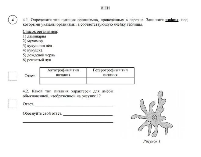 Демо версия впр по биологии 8 класс