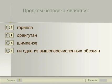 Человек создание ответы
