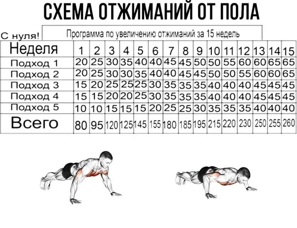 Количество отжиманий от пола. Схема тренировок отжимания от пола. Схема отжиманий от пола для роста мышц для начинающих. Таблица упражнений по отжиманию от пола. Схема отжимания от пола схема.