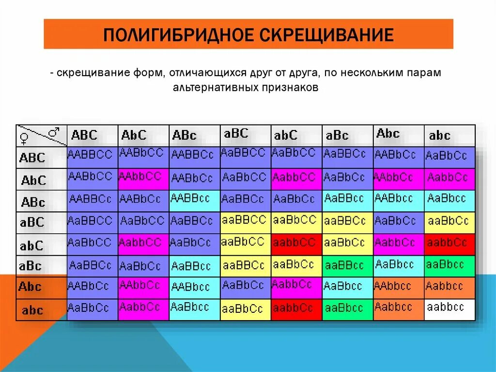 Полигибридное скрещивание схема. Таблица Пеннета Тригибридное скрещивание. Решетка Пеннета полигибридное скрещивание. Генетика полигибридное скрещивание.