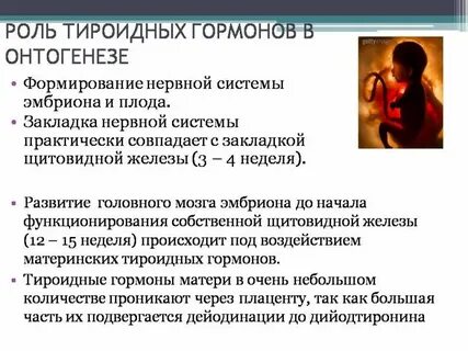 От чего зависит развитие нервной системы плода