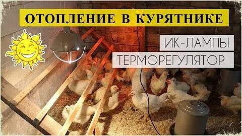 Какой обогреватель лучше в курятник