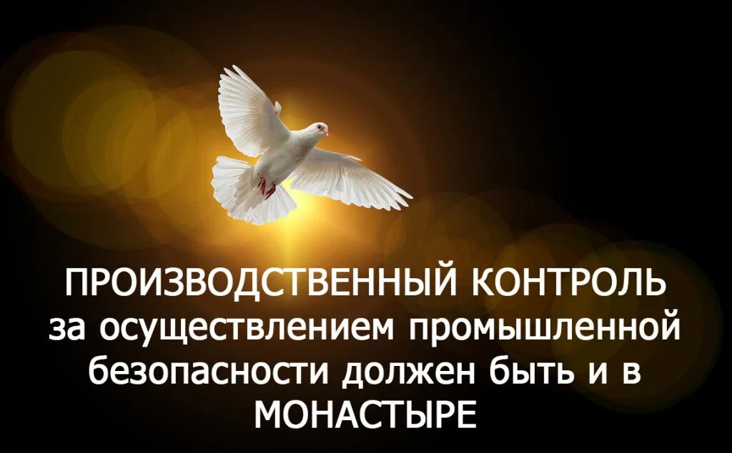 Души их во благих водворятся. Души во благих водворятся. Душа его во благих. Душа его во благих водворится и память его в род. Молитва души их во благих водворятся.