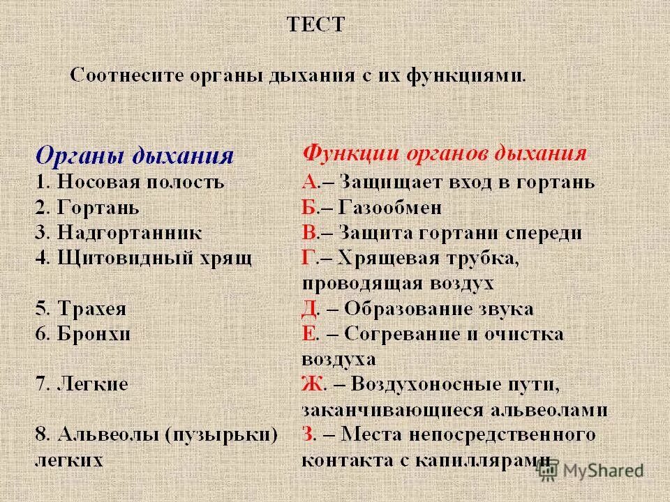 Соотнеси органы их функции. Органы дыхания тест. Вопросы по дыхательной системе. Органы дыхания и функции соответствие. Вопросы по теме дыхательная система.