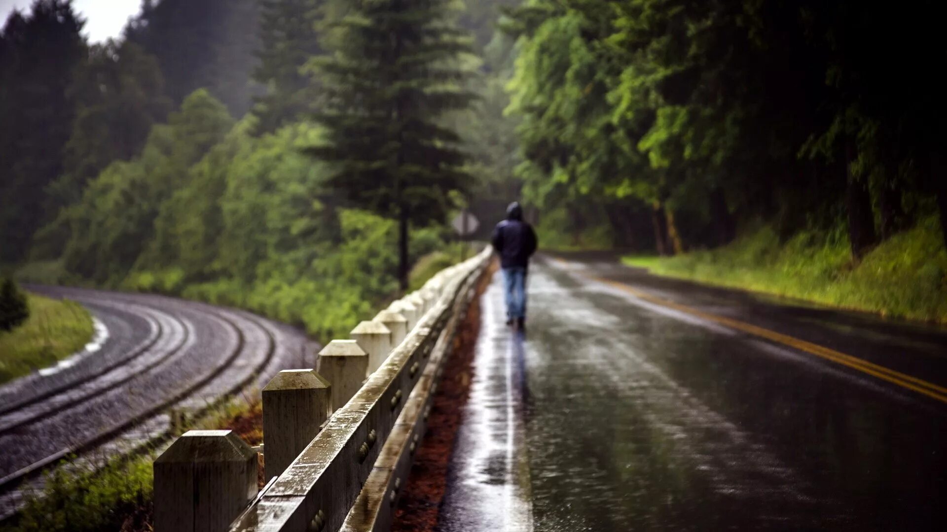 Природа дорога. Дорога путь. Одиночество дорога. Красивые дороги. Different roads