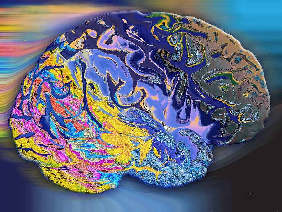 Мозг арт. Мозг акрилом. Картинка мозга в искусстве.