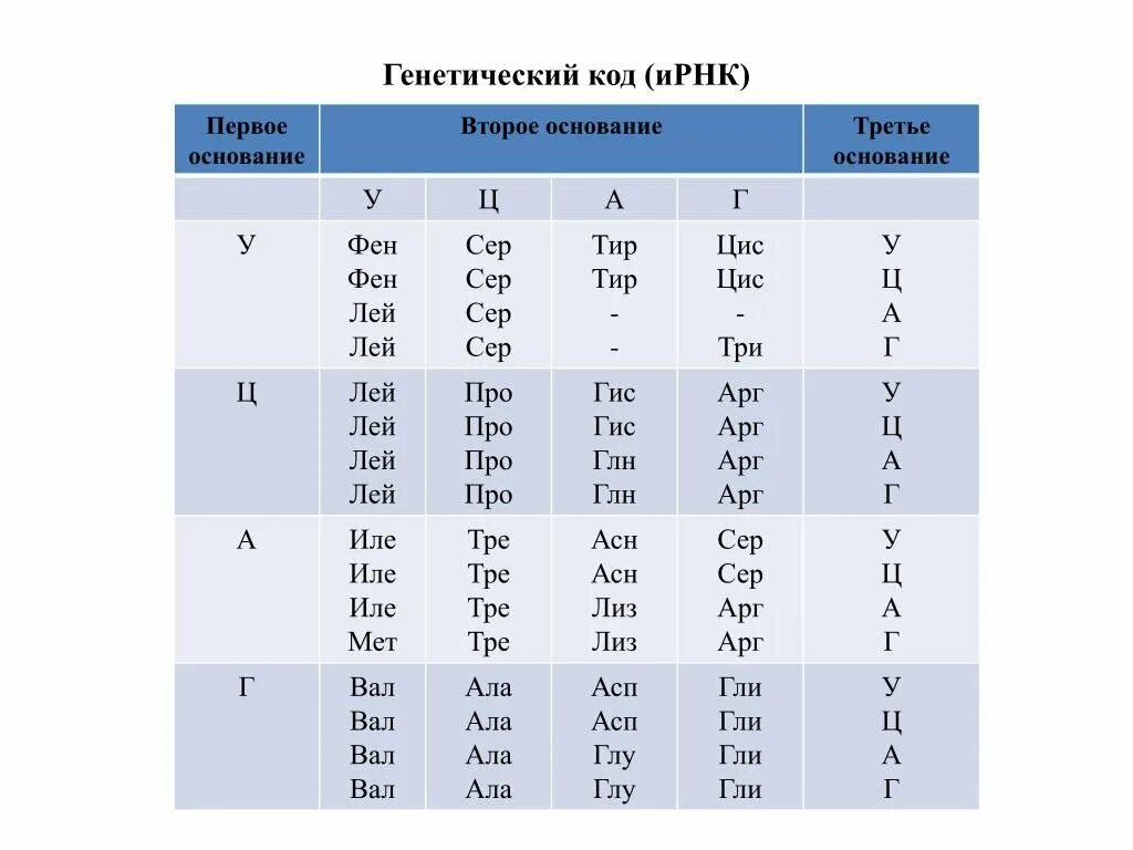 Заполнить таблицу основание 2 основание 8