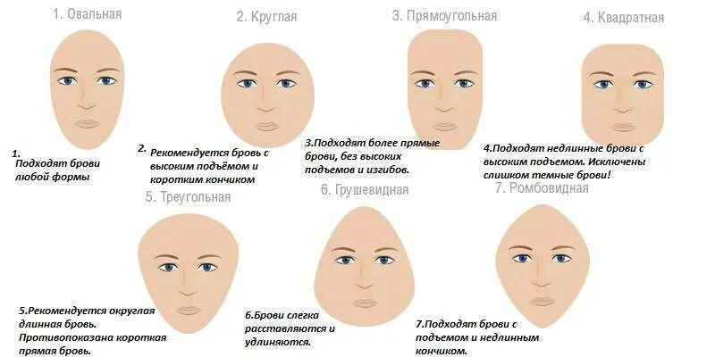 Какие выделяют формы лица. Формы лица. Разные формы лица. Форма бровей по типу лица. Формы бровей для разных типов лица.