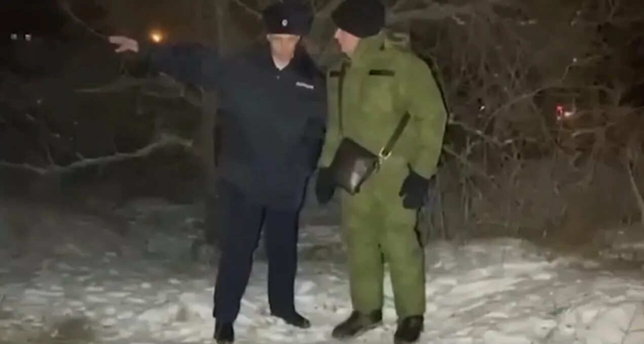 Нападение бродячих собак. Собаки насмерть загрызли девочку. В забайкалье девочку загрызли собаки. Поселок домна читинского района. В забайкалье девочку загрызли.