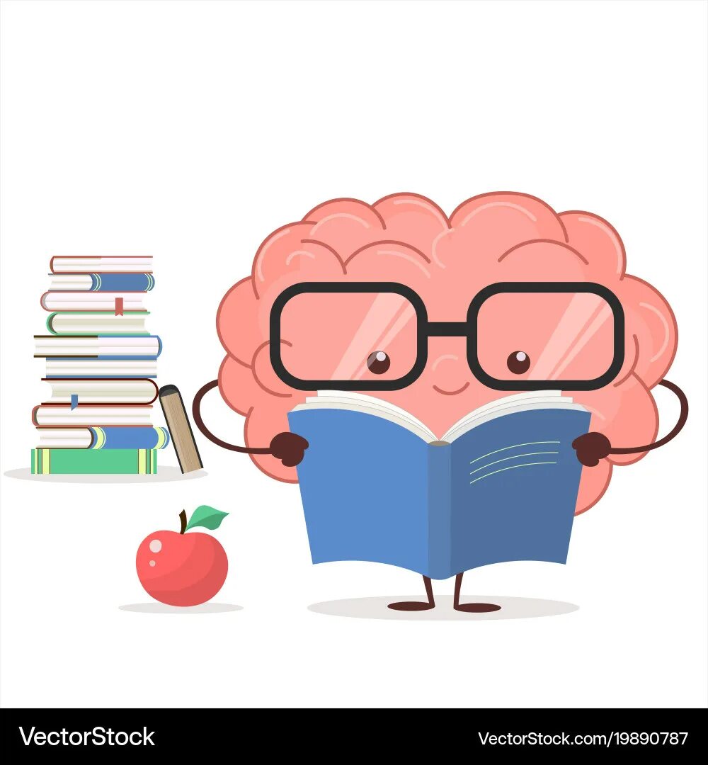 Reading in the brain