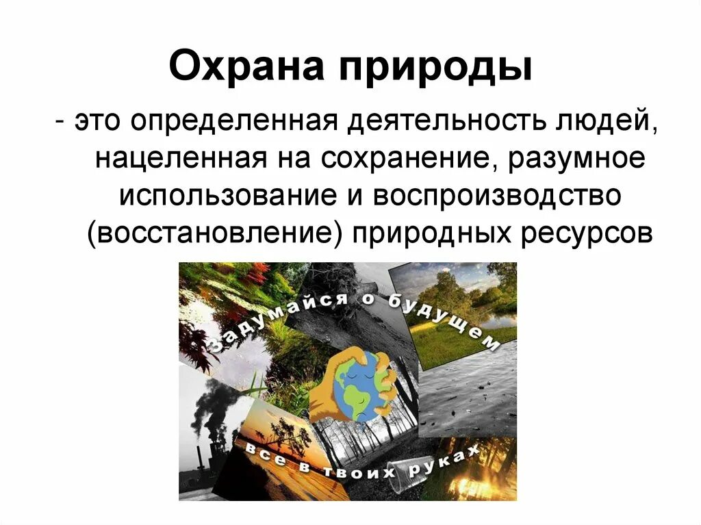 Действия охраны природы. Охрана природы. Охрана природы определение. Охрана природы это определенная деятельность. Охрана природы это кратко.