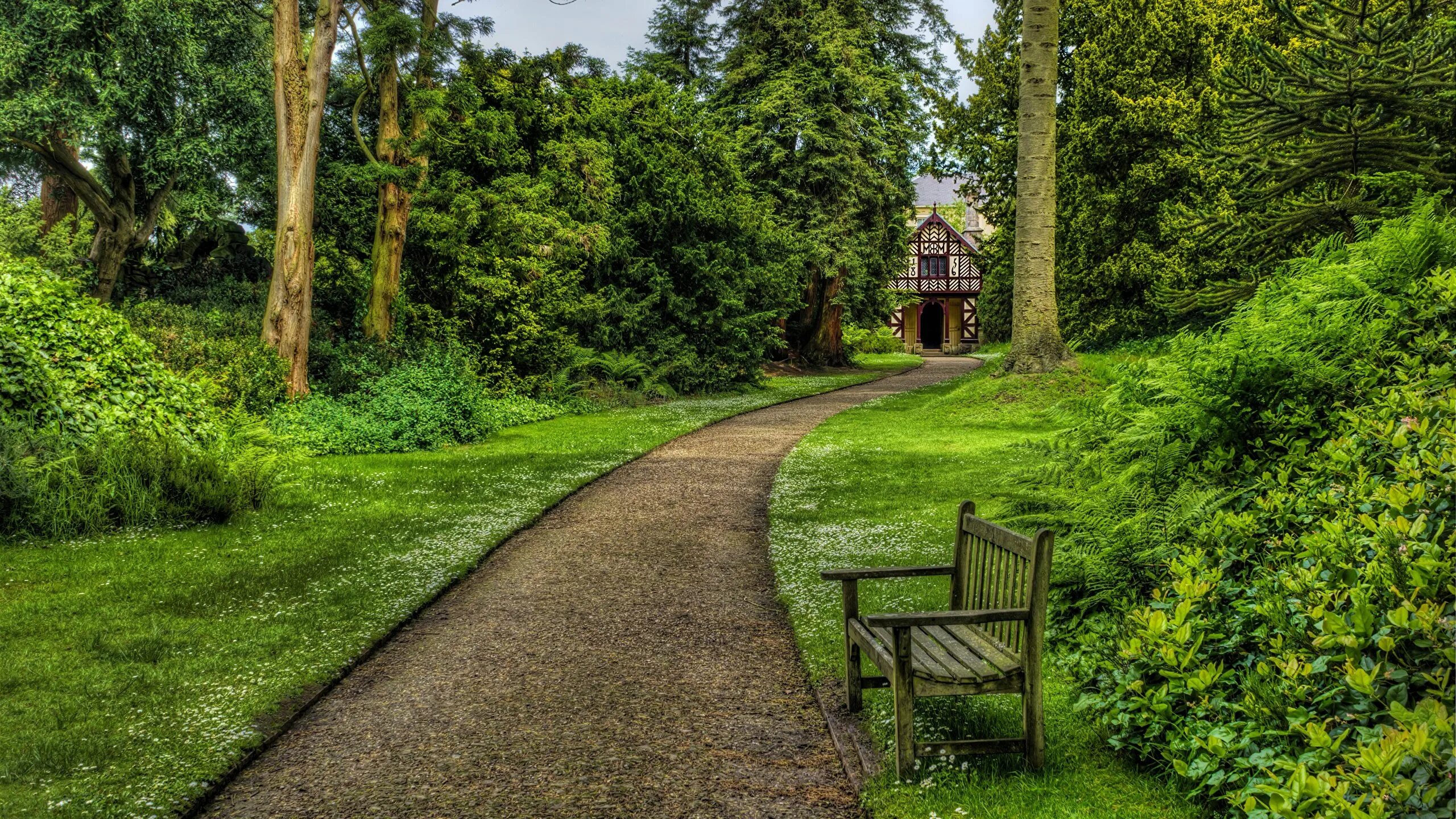 Uk parks. Тисовая аллея в Англии. Биддалф гранж. Трент парк Англия. Английский пейзажный парк аллея.