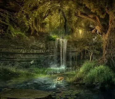 Enchanted forest