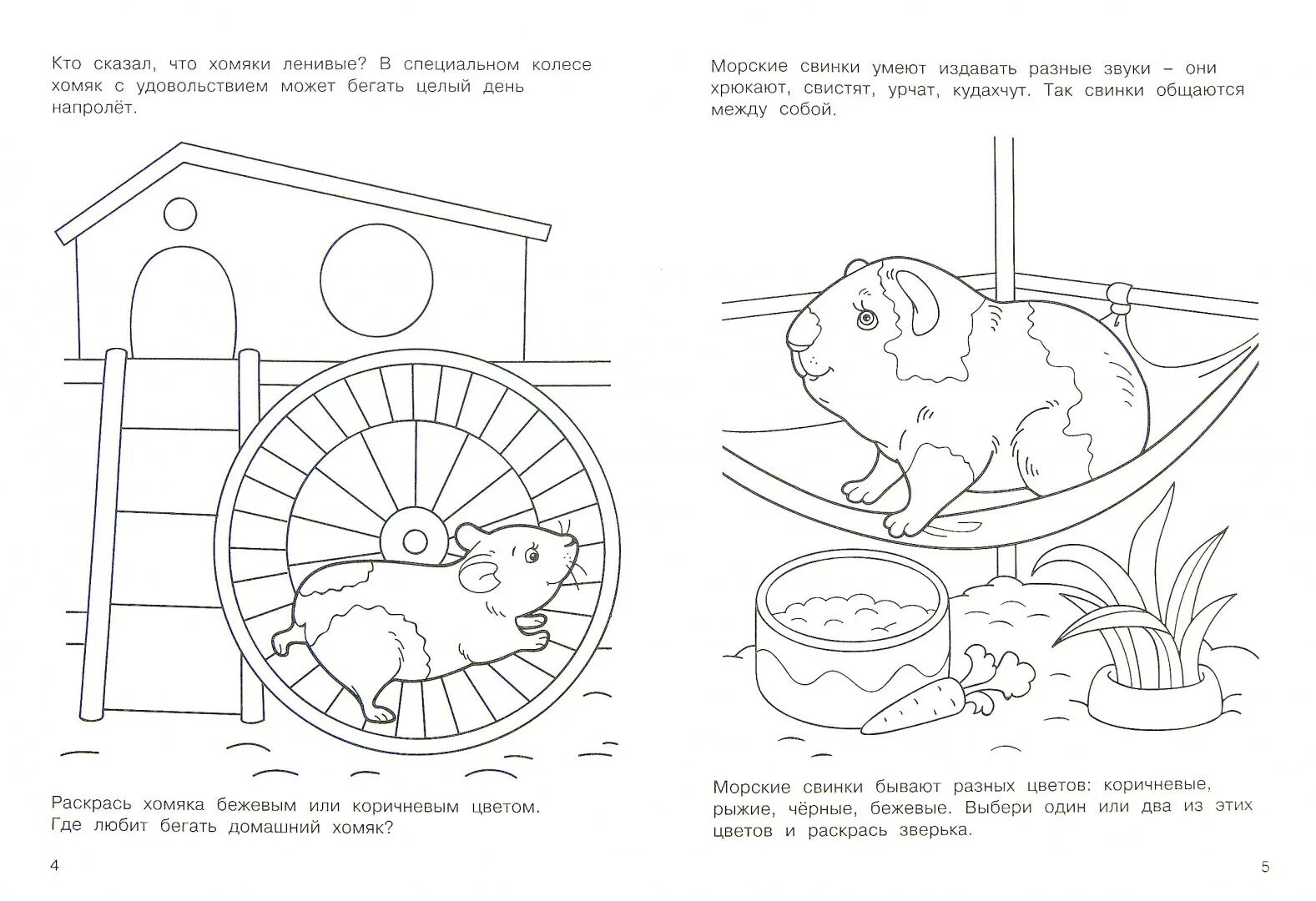 хомяк карточка по английскому. карточки домана домашние животные. хомяк задания карточки. стих про хомяка. умные карточки на ферме.