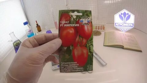 Томат империя