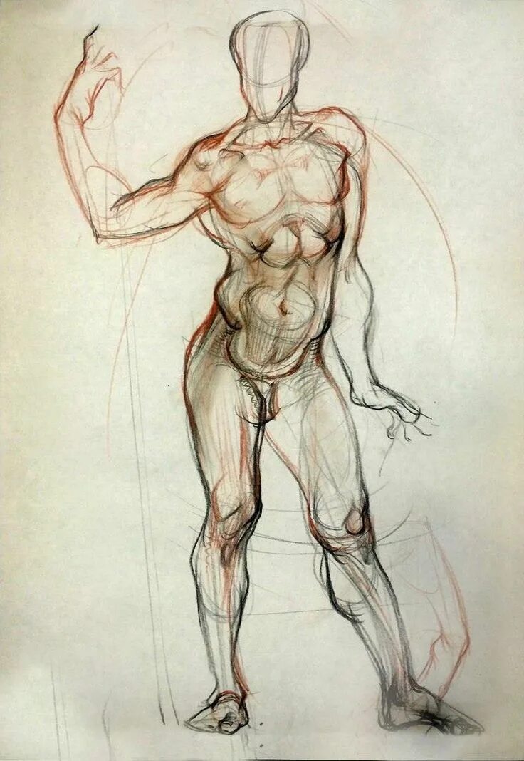 Фигура человека анатомия. Контрапост Микеланджело. Контрапост Рыжкин. Пластическая анатомия контрапост.