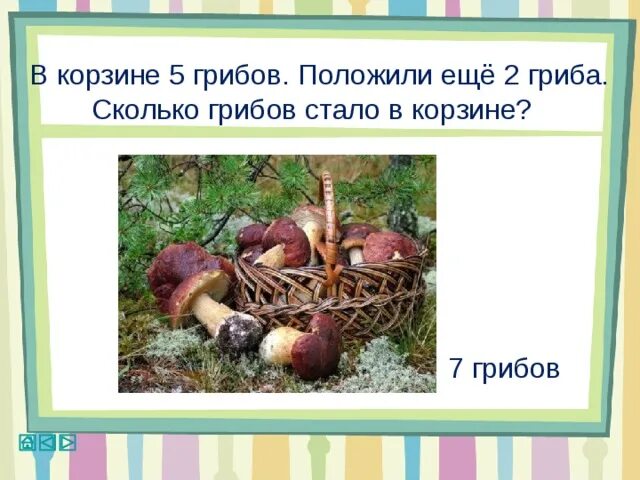 В лукошке лежали грибы. Сколько грибов. Сколько гриба сколько грибов. В корзину с грибами добавили 7 грибов.