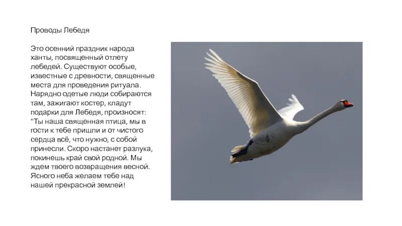 План лебеди 3 класс