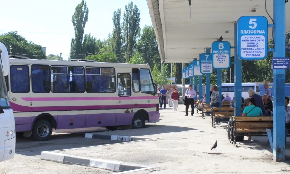 Маршрутки Крыма. Крымские автобусы. Севастополь автобус. Автобус Севастополь Астрахань.