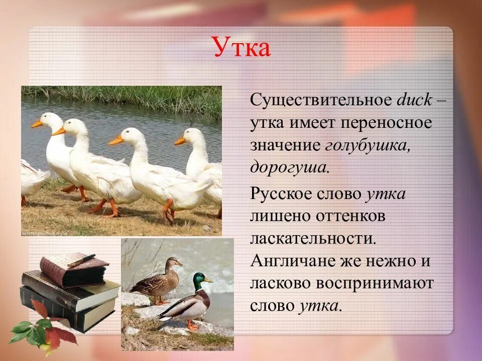 Утка слово. Текст про уточек. Утка в тексте. Текст про утят.