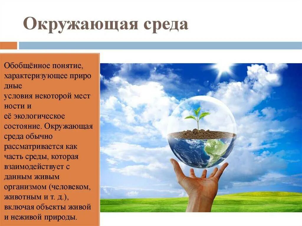 Понятие окружающей среды. Окружающая среда. Понятие окружающая среда человека. Концепция окружающей среды. Состояние окружающей среды характеризуют