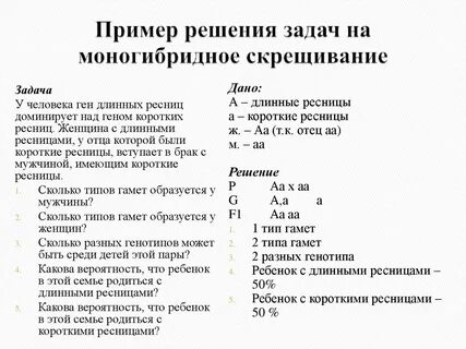 Задание на моногибридное скрещивание