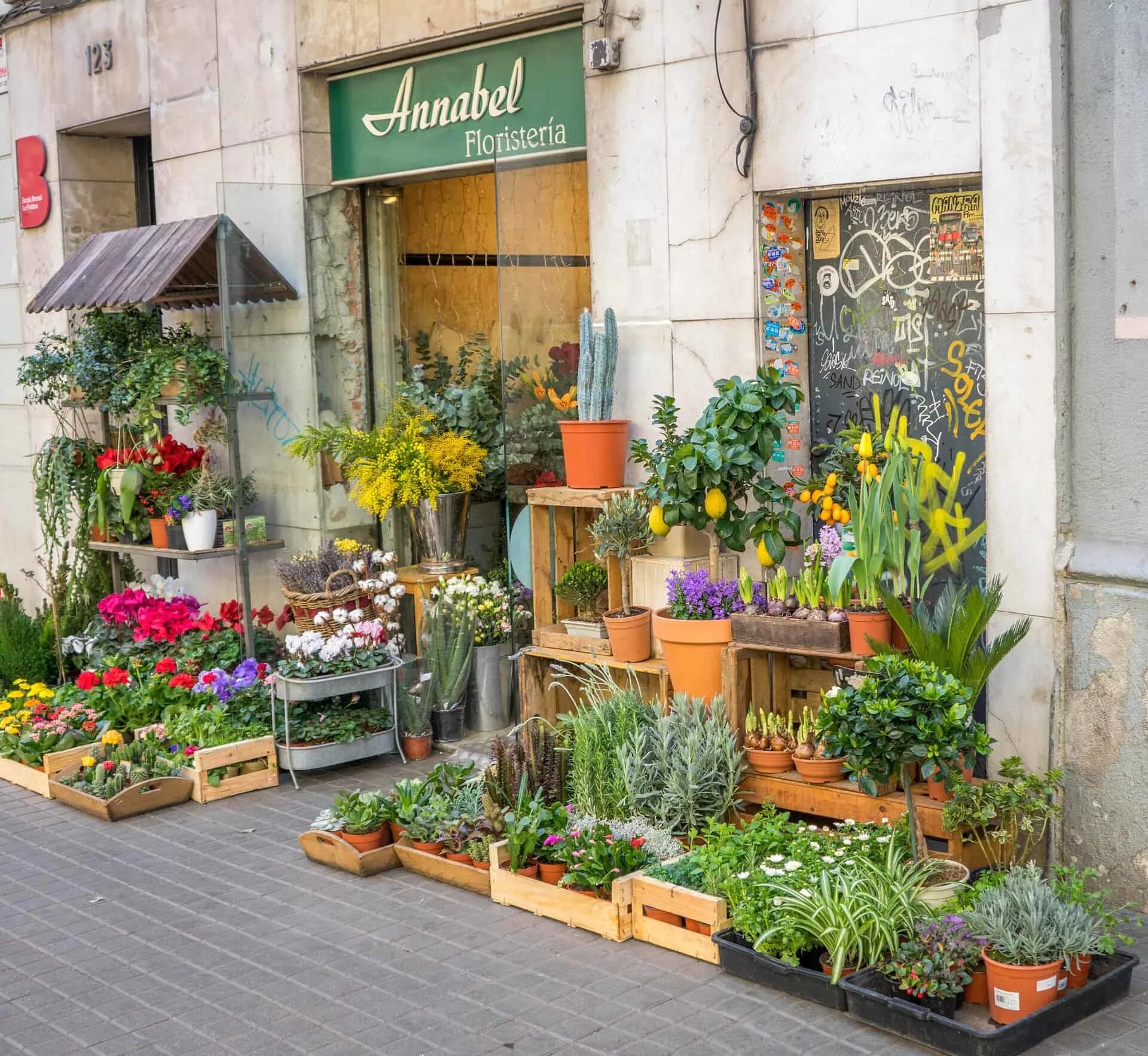 Хоть весь цветочный магазин. Европейские магазины цветов. Цветочные магазинчики в Европе. Самые красивые цветочные магазины. Интерьер цветочного магазина.