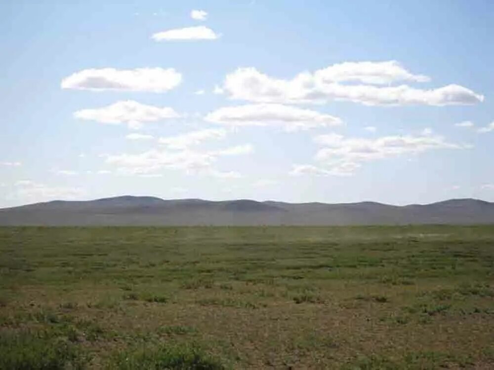 степь раньше. степь раньше. степи сейчас. боргойская степь бурятия. степи кустанайской области.